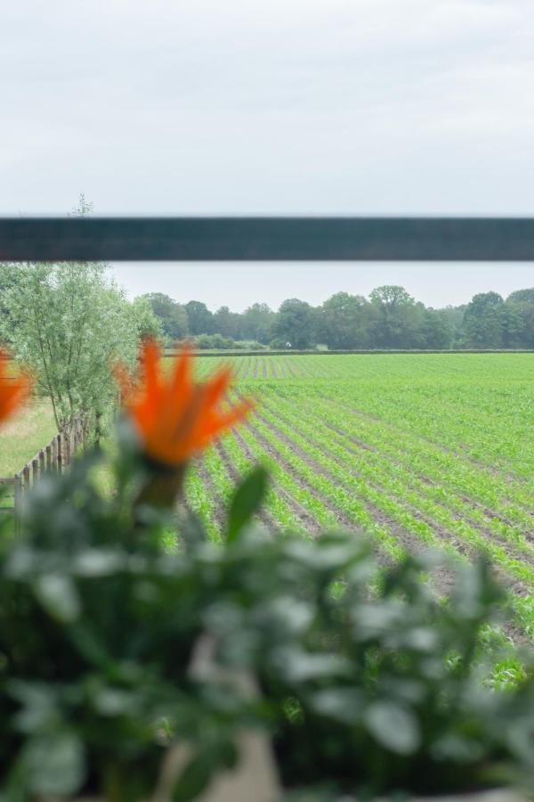 Hermans Huisje: Het Mooiste Uitzicht Van Twente? هاكسبيرخن المظهر الخارجي الصورة